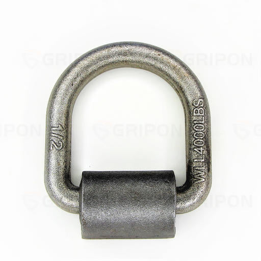 1/2inch Weld On D Ring Anchor
